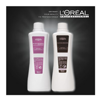 RICHESSE 탐지기 DE Diacolor - L OREAL